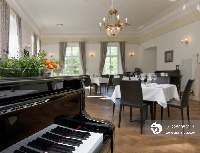 Piano in a Upscale Dining Room