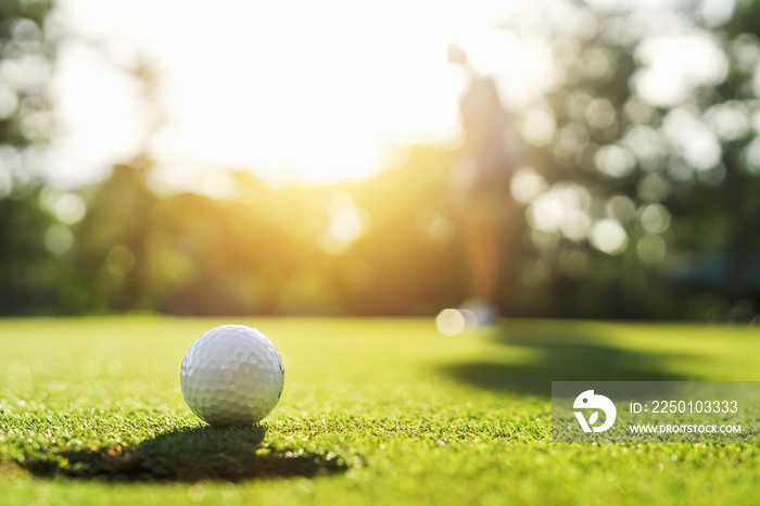 golf player putting golf ball into hole