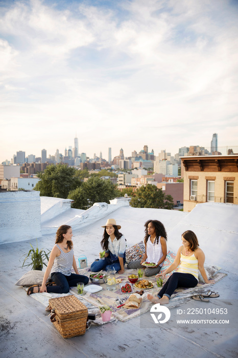 Friends having picnic on rooftop