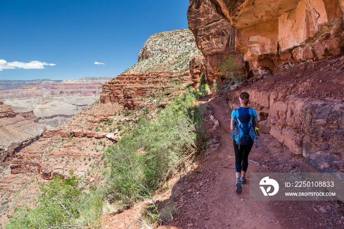 Hiker woman hiking in Grand Canyon. Healthy active lifestyle image of hiking young multiracial femal