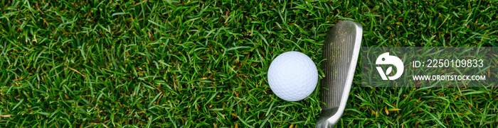 Lush green golf course grass in the rough, with a white golf ball and an iron clubhead ready to play