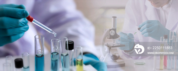 Laboratory concept; Scientist uses a dropper to transfer chemical reagent to test tube. He observes 