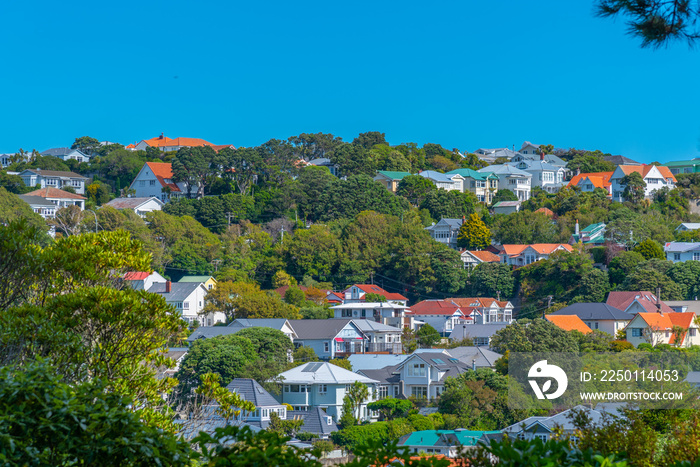 Residential houses in Wellington, New Zealand