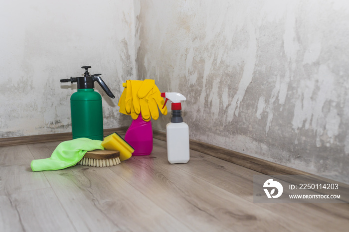 Black mold in the corner of room wall and different spray bottle with mildew removal products