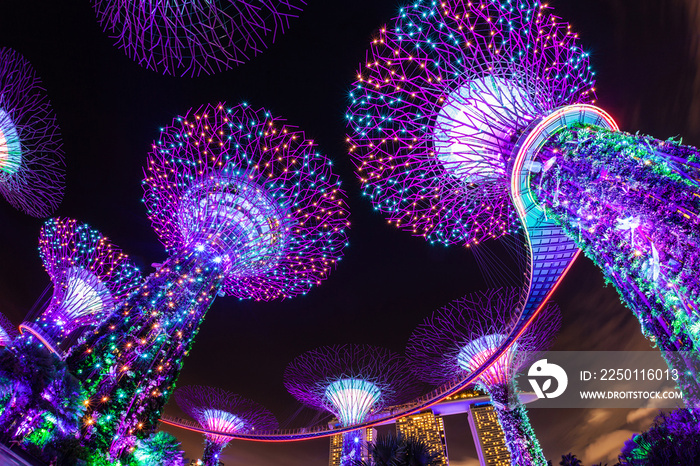 新加坡滨海湾海湾花园耀眼的夜灯