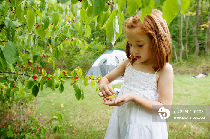 Girl picking fruits