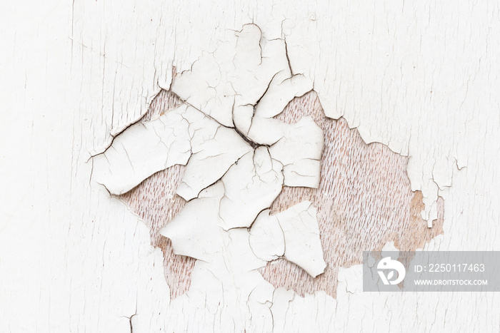 Abstract texture of old cracked paint on a white wooden door