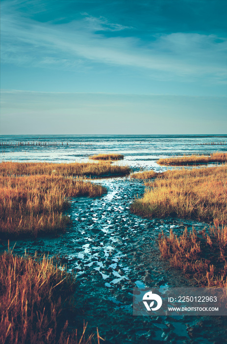 Der Weg ins Wattenmeer an der Nordseeküste bei Friedrichskoog