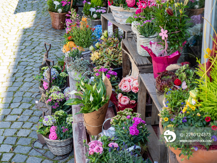 Floristik Blumenladen in der Stadt