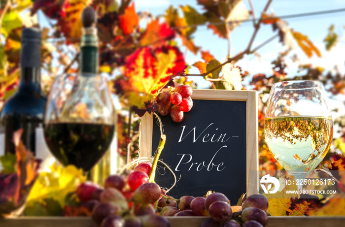 Erntezeit, Genuss in der Pfalz: Weinprobe im Herbst, Rotwein, Weißwein, Weinglas und Trauben im Wein
