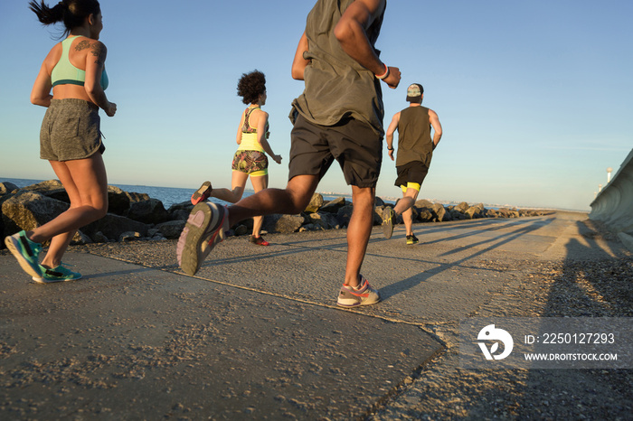 Back view of a group of young sporty friends jogging