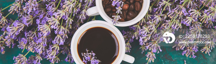 Banner of Coffee, coffee grain in cups and lavender flower on green background