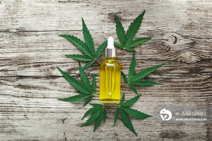 Hemp cbd oil serum in glass dropper bottle on cannabis leaves. Cannabis leaf with skincare cosmetic 