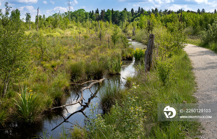 Haspelmoor Fürstenfeldbruck Moor Hochmoor Bayern