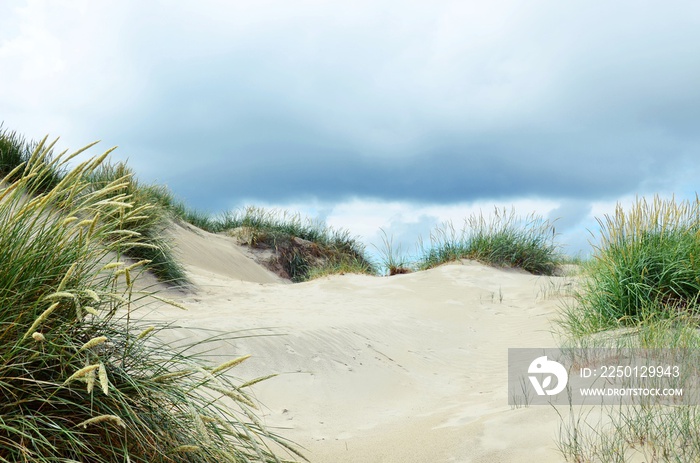 Düne mit dunklen Wolken