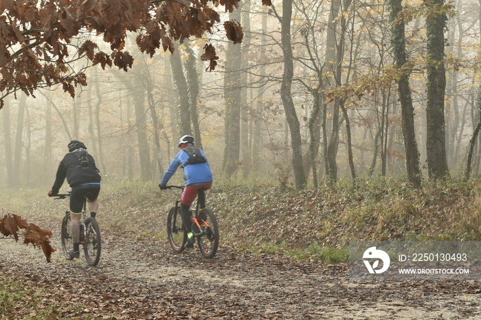 Deux cyclistes dans une forêt à lautomne sous la brume