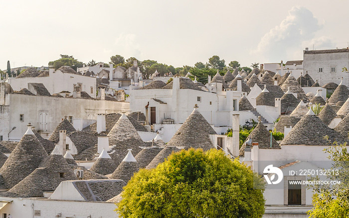 Scenic panoramic view of Alberobello and trulli buildings, Apulia, Italy