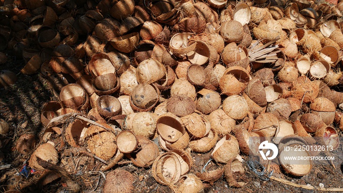 Medium close up shot of a pile of coconut shells on the ground being prepared for processing into ch