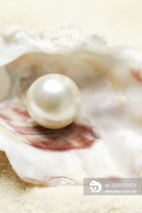 Close up image of organic pearl in a shell