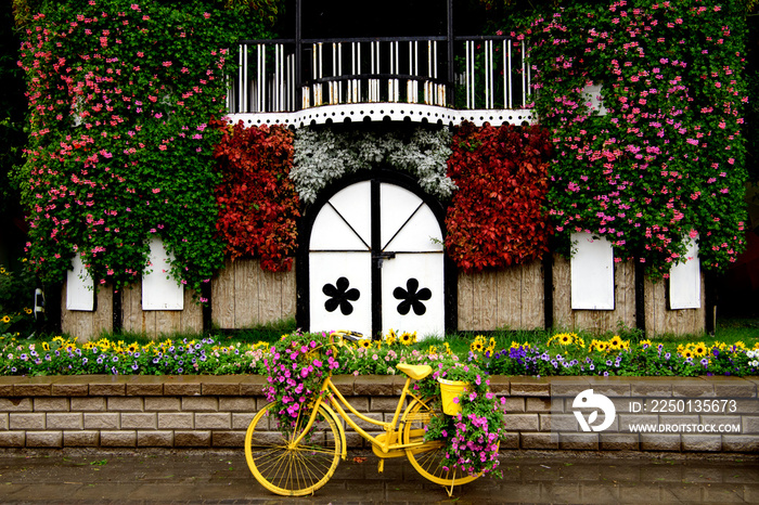 Yellow bicycle and flowers at the Miracle Garden Dubai