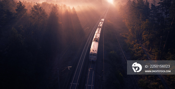 A freight train travels through a foggy forest.