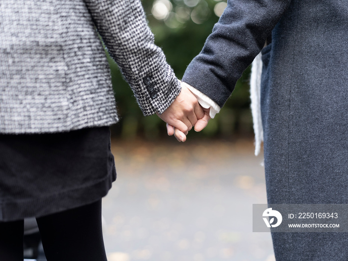 Back view of female couple holding hands in park�