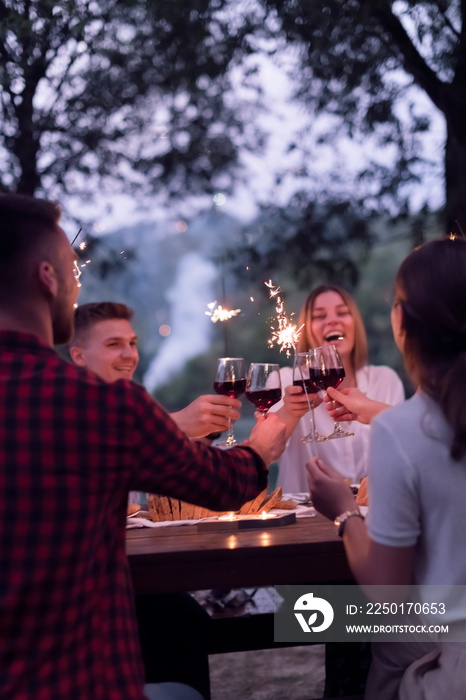 french dinner party on summer