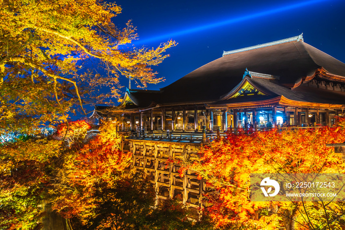 清水寺の紅葉　夜間特別拝観