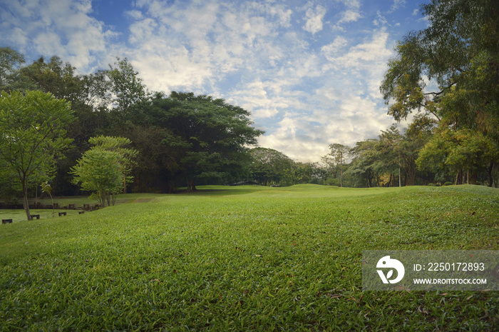 Green grass field in city park, evening