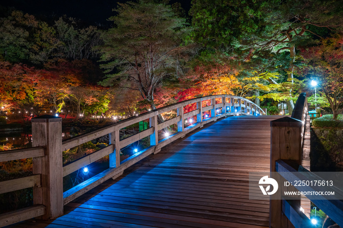 静岡県伊豆市修善寺　虹の郷　紅葉のライトアップ　リフレクション