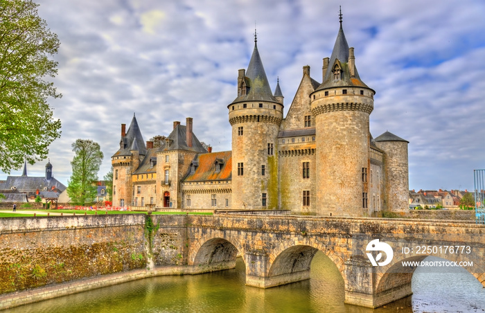 法国卢瓦尔河谷城堡上的卢瓦尔河畔苏利城堡