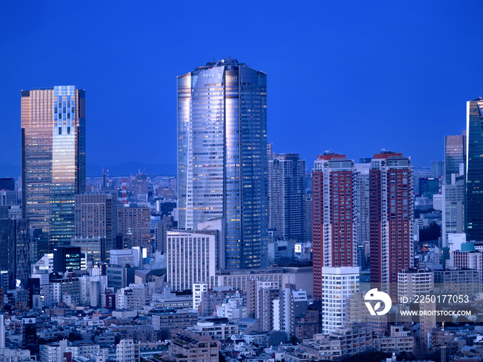 六本木ヒルズと東京の夜景