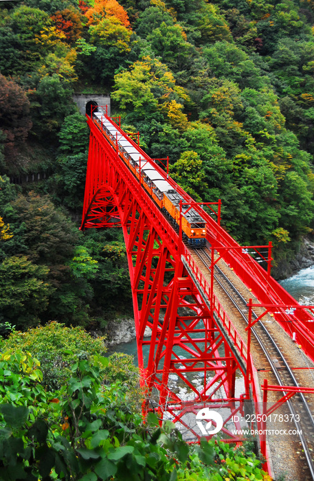 黒部峡谷入り口のトロッコ電車