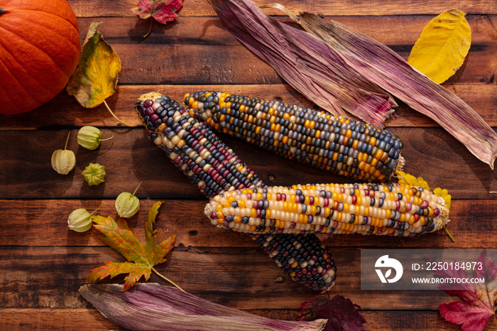 Native American Corn on a Wooden Background