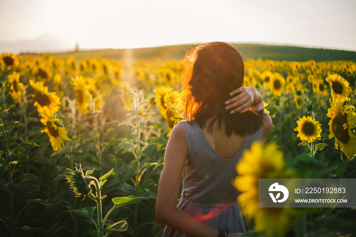 young redheaded woman in a field of sunflowers stands back and looks at the sunset, sunset light, su