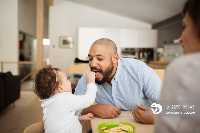 Daughter feeding apple to father while sitting at dining table