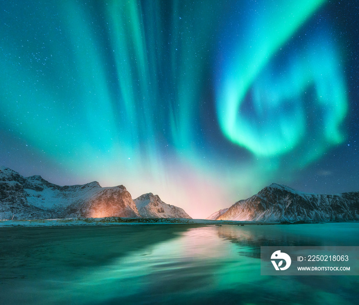 挪威罗浮敦群岛的北极光。极光。绿色北极光。星空与极地lig