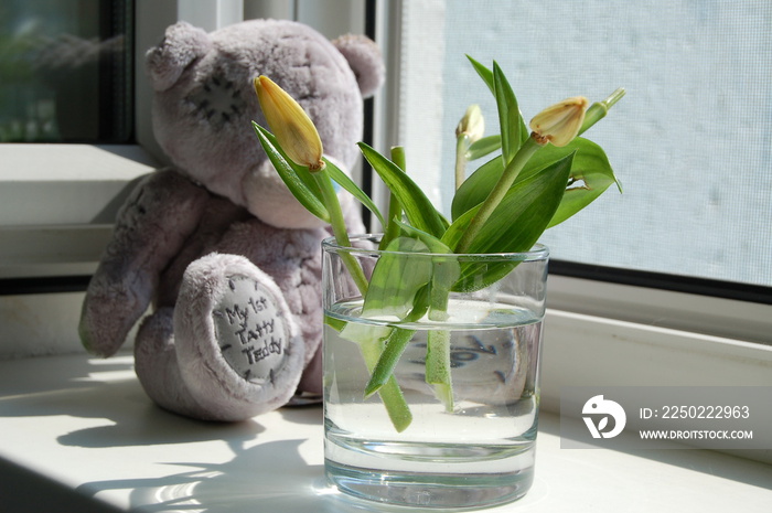 teddy bear with flowers on the window sill