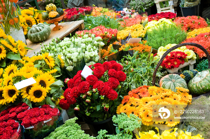 Schnittblumen, Blumenmarkt