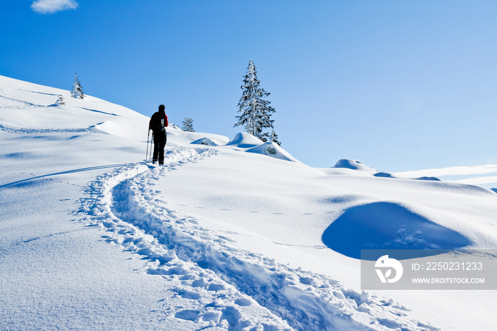 Schneeschuhwanderung