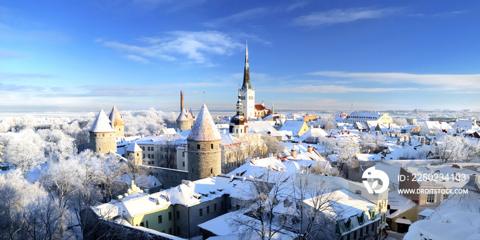 塔林老城全景鸟瞰图，爱沙尼亚。圣奥拉夫斯教堂，堡垒塔，雪