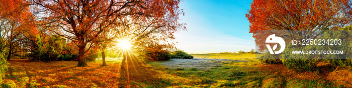 Idyllische Landschaft im Herbst mit Wald, Wiese und Sonne