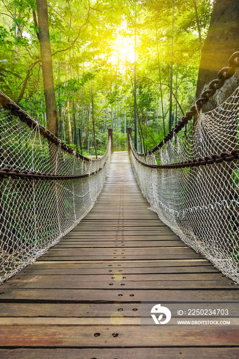 森林里的吊桥