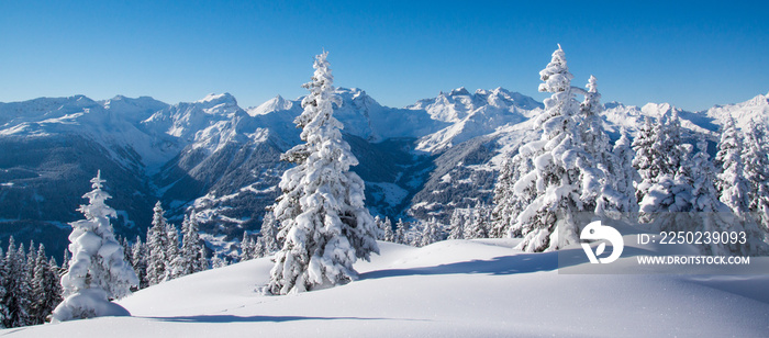 卑尔根的Winterlandschaft