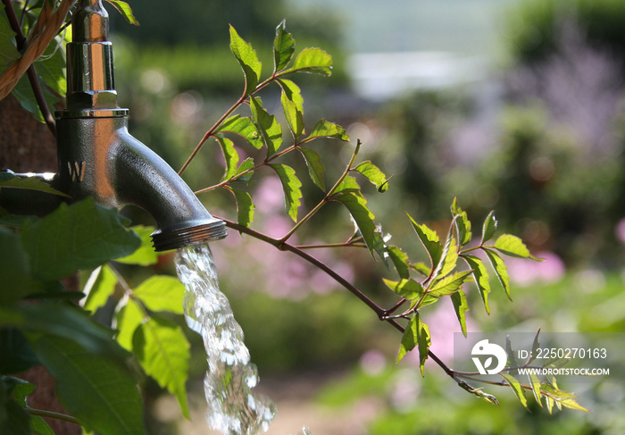 Wasserhahn im Garten