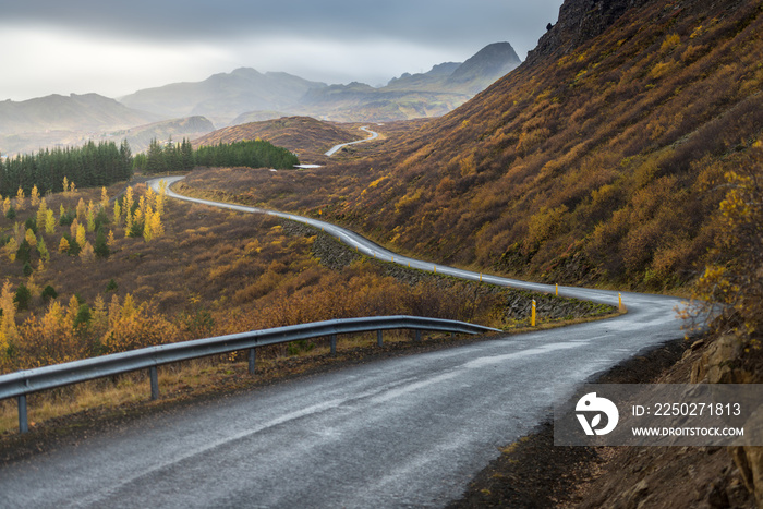 The road line perspevtive direct in to mountain in Autumn season