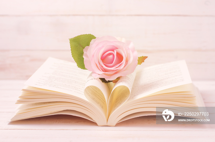 粉彩玫瑰和打开书与心形在中间页