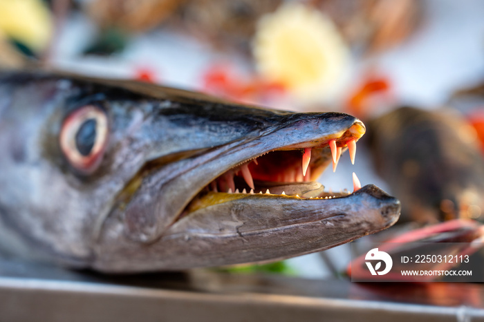 近距离观察梭鱼牙齿。街头食品市场上的海鲜梭鱼。海鲜概念。生b
