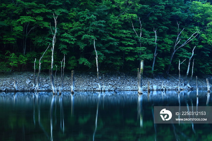 岩手県遠野市　夏の仙人峠