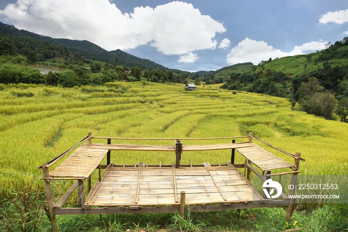  Rice terrace at Chom Thong District in  Chiang Mai  , thailand